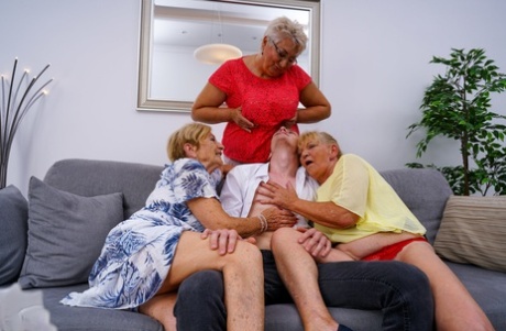 Horny grandmas get fucked and jizzed on by their young toy boy